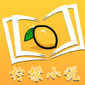 柠檬小说阅读器破解版