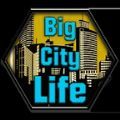 大城市模拟生活安卓版