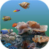 3D海洋海底动态壁