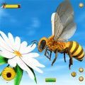 Honey Bee Bug Games