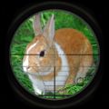 兔子狩猎3D中文版