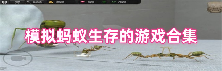 模拟蚂蚁生存的游戏合集