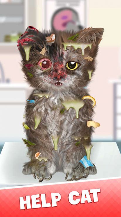 Cat Makeover-图2