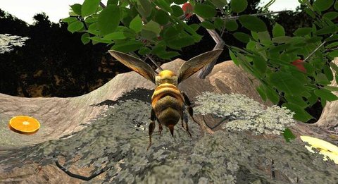 蜂巢模拟器3D-图1