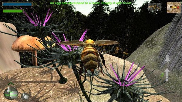 蜜蜂生存模拟器-图1