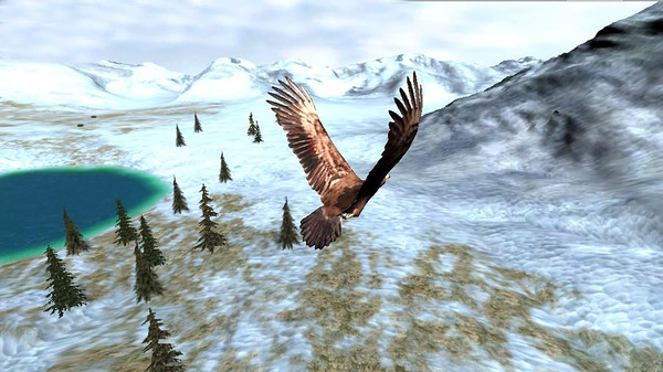 猎鹰之旅模拟器中文版-图2
