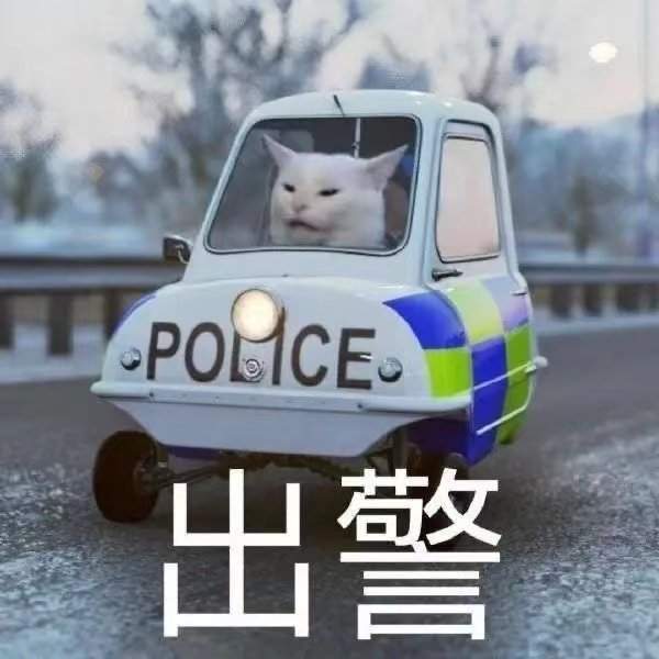 猫咪警察指人表情包-图1