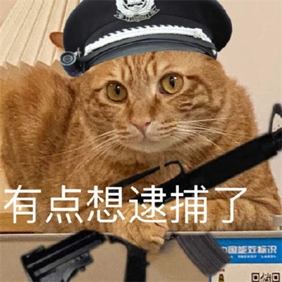 猫咪警察表情包-图1