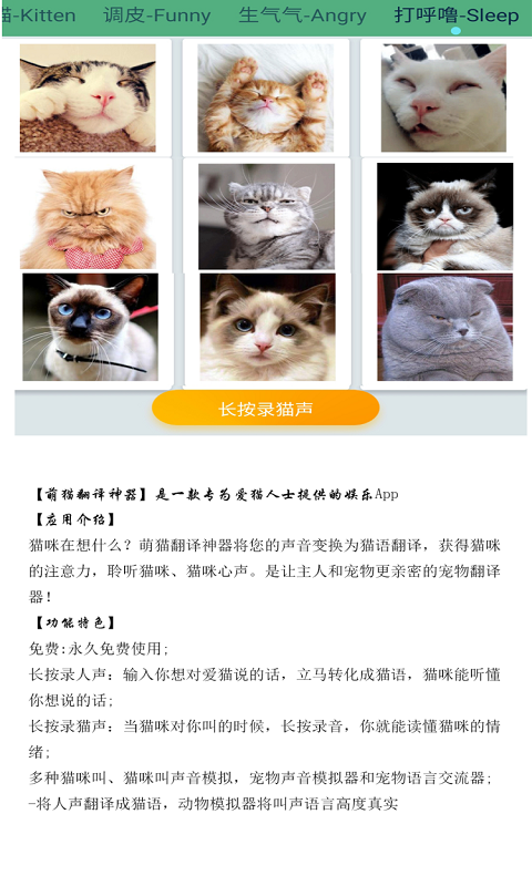 晋江猫语翻译器-图3