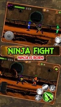 Turtle Fight Ninja is Born-图3