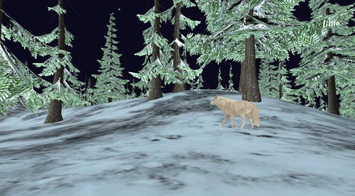 森林孤狼模拟器.jpg
