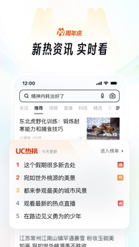 UC浏览器清爽版-图4