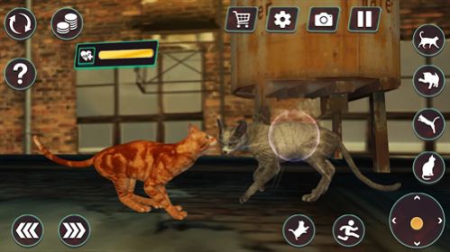 猫咪格斗战争模拟器-图2
