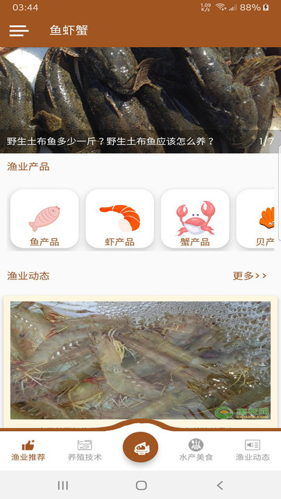 鱼虾蟹-图1