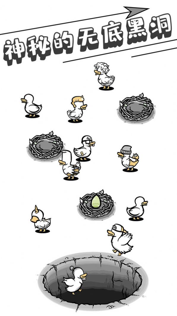 母鸡下蛋-图3